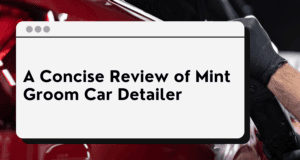 A Concise Review of Mint Groom Car Detailer