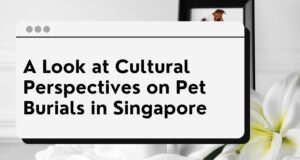pet cemeteries singapore