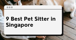 pet sitter singapore