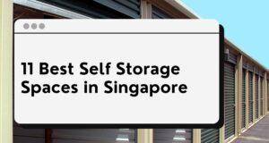 self storage space singapore