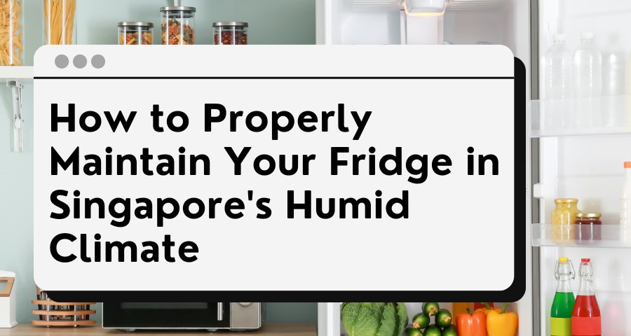 fridge singapore