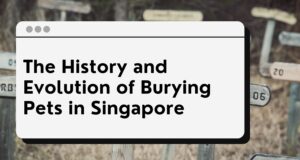 pet cemeteries singapore